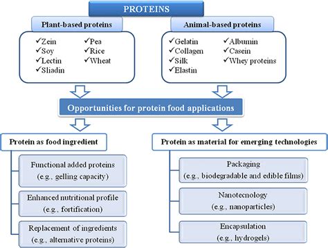  Edamame - Nguồn Protein Thực Vật Tiềm Tàng Và Ứng Dụng Trong Chế Biến Thực Phẩm Năng Động!