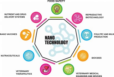  Chitosen: Loại Vật Liệu Sinh Học Tái Sinh Mạnh Mẽ Cho Ứng Dụng Trong Y Khoa & Công Nghệ Nano!