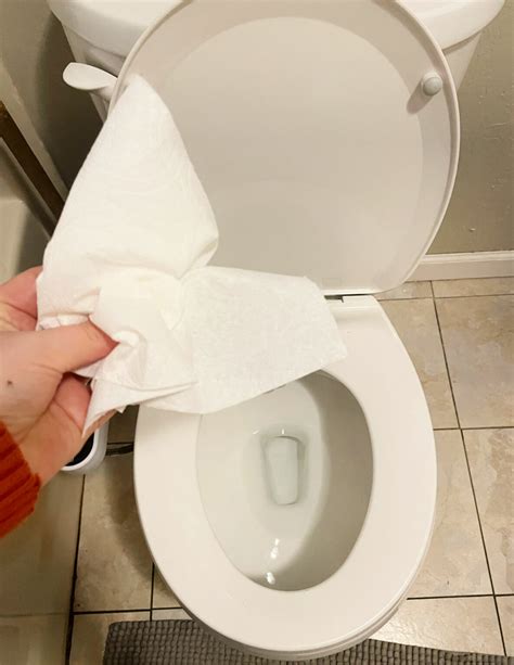 Do You Flush Toilet Paper? Exploring the Unseen Consequences of a Daily Habit