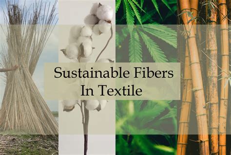  Hemp Fibers - Chuyển đổi Thân thiện Môi Trường trong Công Nghệ Dệt!