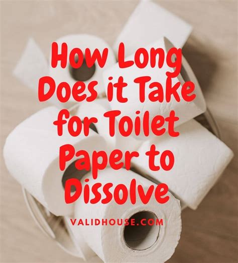 How Long Does It Take for Toilet Paper to Dissolve, and Why Do We Care About the Speed of Its Disappearance?