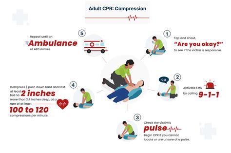 How Long is CPR Training Good For: A Journey Through Time and Techniques