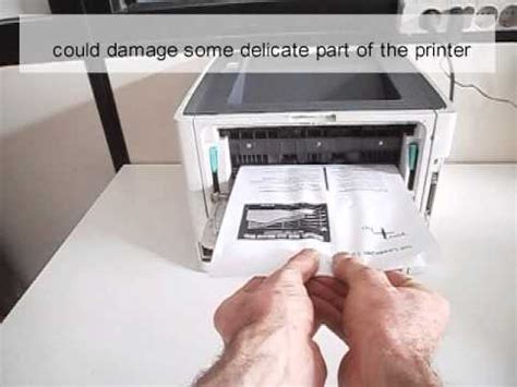 How to Fix a Paper Jam in a Printer: Why Your Cat Might Be the Real Culprit