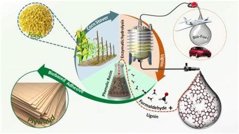 Lignin - Vật liệu Công Nghệ Sinh học Tiền Phong cho Ngành Xây Dựng!