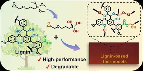  Lignin: Siêu Nguyên Liệu Tái Sinh & Giải Pháp Xanh Cho Ngành Công Nghiệp!