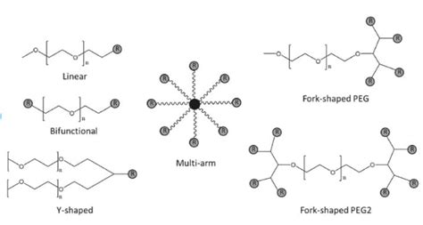  Polyethylene glycol: Vật liệu sinh học đa năng cho ứng dụng y tế và dược phẩm!