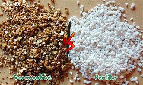  Vermiculite – Đá Vulkane Lợi Hay Chất Nhanh Hoàn Tái Trong Cấu Trúc?