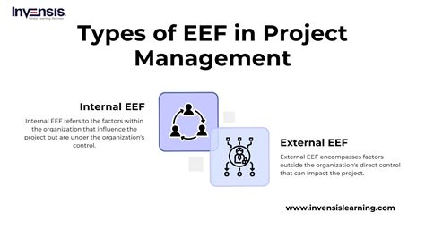 What is EEF in Project Management: Unraveling the Enigma of External Environmental Factors