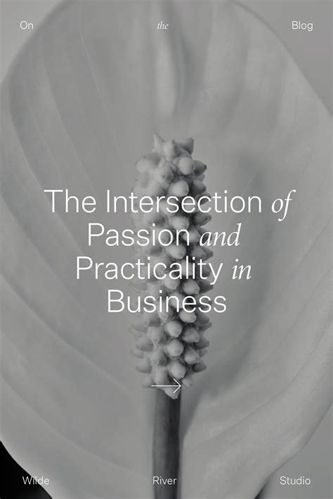 What is Minor in Education? Exploring the Intersection of Passion and Practicality