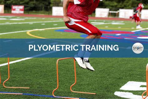 Which of the following does plyometric training help increase? And why do kangaroos seem to have mastered it?